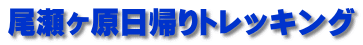 尾瀬ヶ原日帰りトレッキング